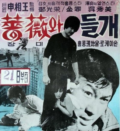  75-92 장미와 들개(감독:신상옥, 주연:등광영, 금비, 오수미)