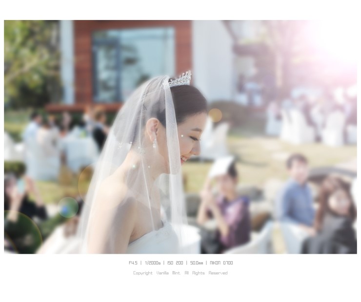  P.E.K Wedding Party~