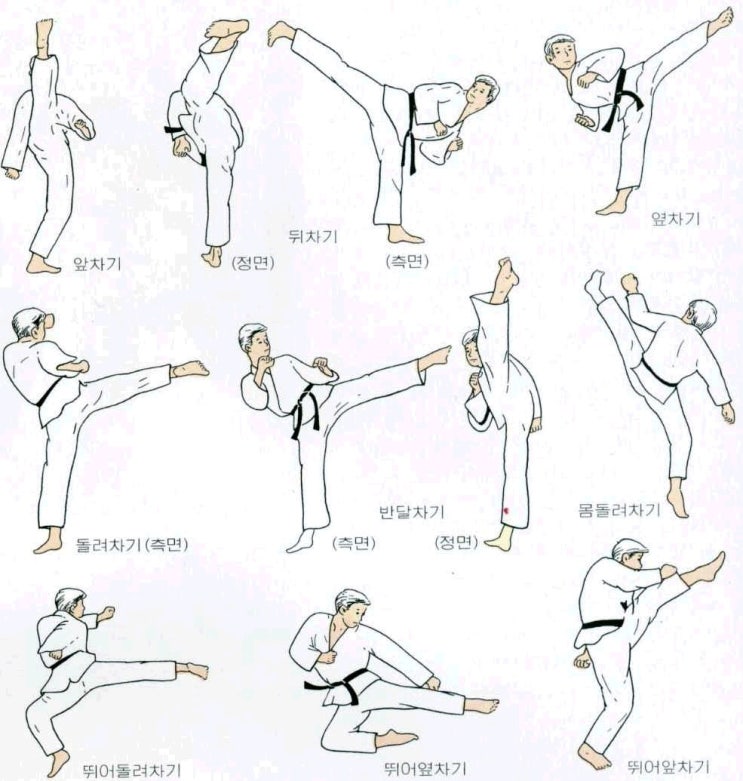 ì„¤ì •ì°¸ê³ ìžë£Œ ê¶Œíˆ¬ íŽ€ì¹˜ì™€ íƒœê¶Œë„ ë°œì°¨ê¸° ë„¤ì´ë²„ ë¸