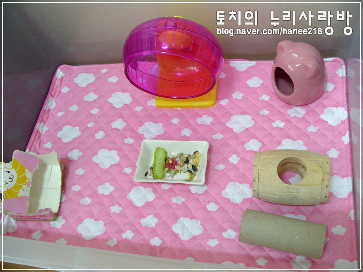 [햄스터] 도치퀸 천베딩으로 바닥재를 바꿨어요