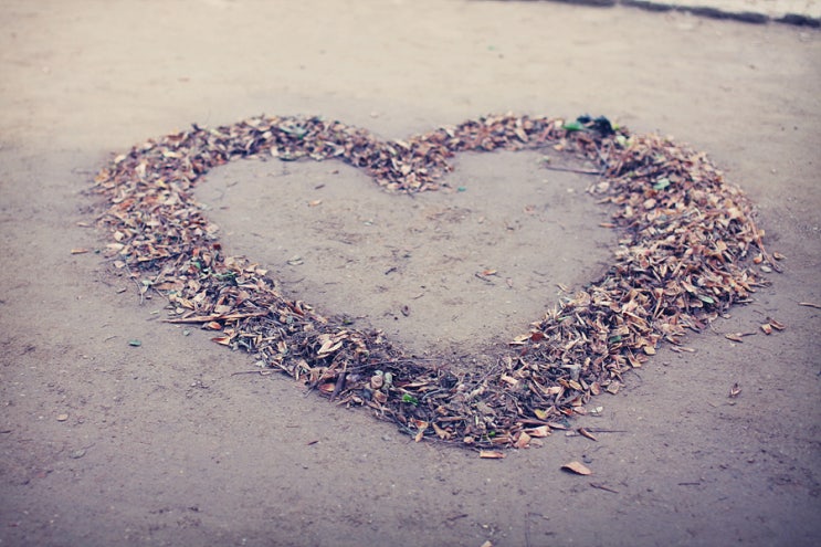 LOVE LOVE