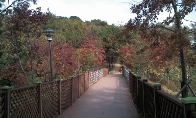 [강서구월경,강서구생리불순한의원]"위장병과 생리불순"/생리불순치료/경희효자한의원