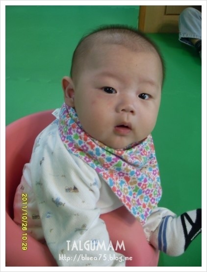  베이비 삼각스카프 (스카프빕) 1탄~