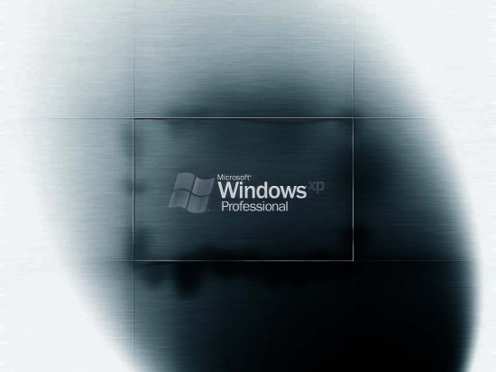 Windows 주요 특성