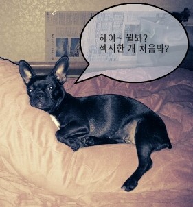  왠지 섹시한 별이~