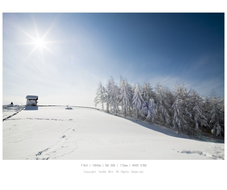 #2. 12월, 눈덮인 雪原의 양떼목장 ^-^