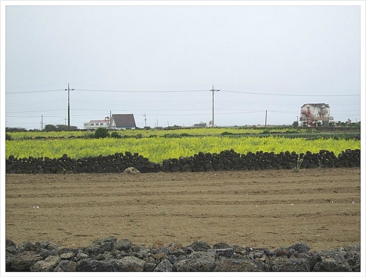 제주 자동차 해안올레 제1코스 (2) 용수리 풍력발전단지에서 차귀도 해안까지 제주 자동차 해안올레 제1코스 (2) 용수리 풍력발전단지에서 차귀도 해안까지