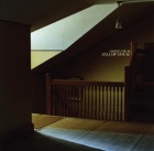 grizzly bear-yellow house grizzly bear-yellow house