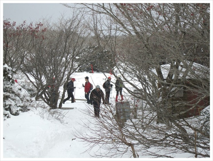 한라산 눈꽃 산행 (2) 진달래밭 대피소에서 해발 1800고지까지 한라산 눈꽃 산행 (2) 진달래밭 대피소에서 해발 1800고지까지