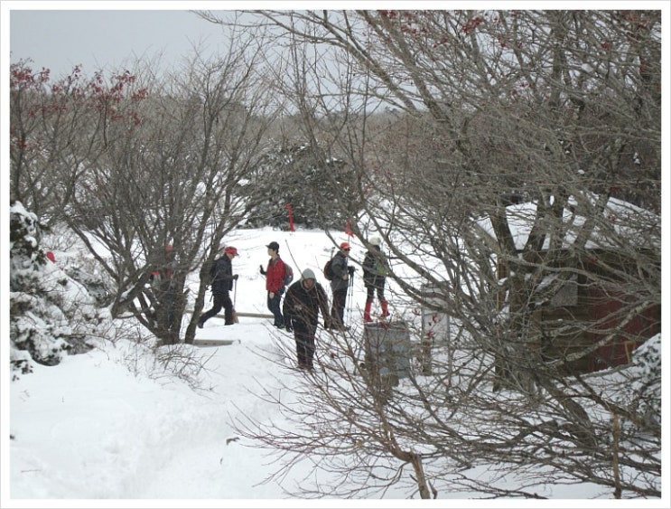 한라산 눈꽃 산행 (2) 진달래밭 대피소에서 해발 1800고지까지