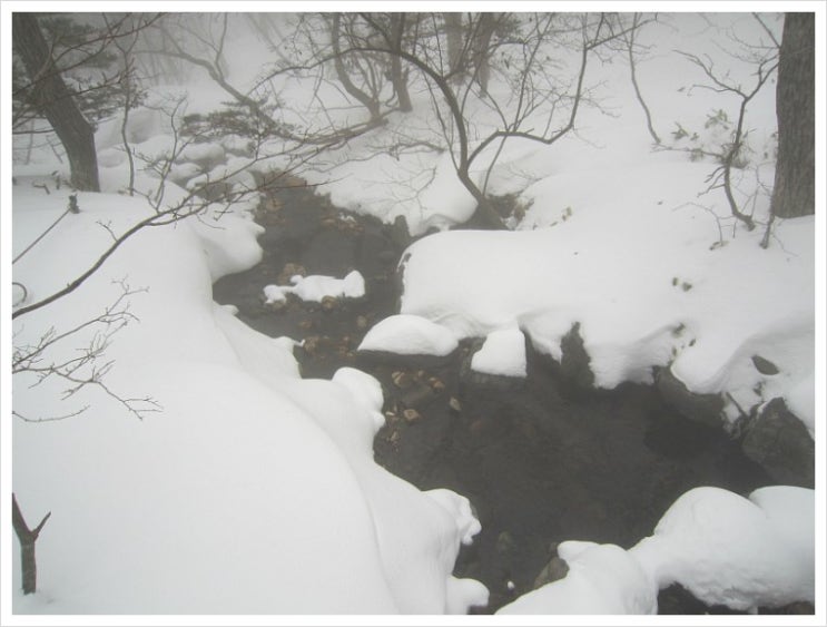 한라산 눈꽃 산행 (6) 까마귀도 얼어붙은 오백나한 찾아가는 길