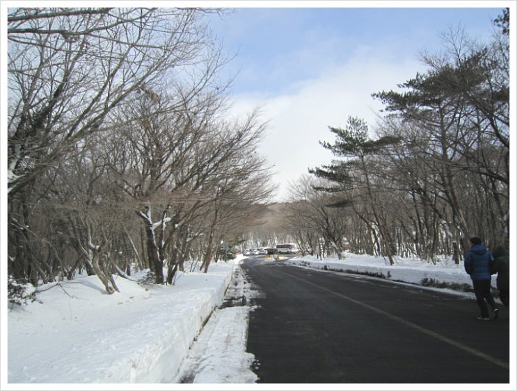 한라산 눈꽃 산행 (5) 눈안개 가득 영실계곡 한라산 눈꽃 산행 (5) 눈안개 가득 영실계곡