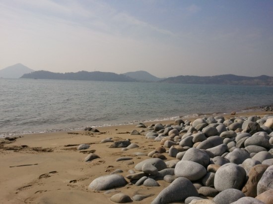 꽃돌찾아 