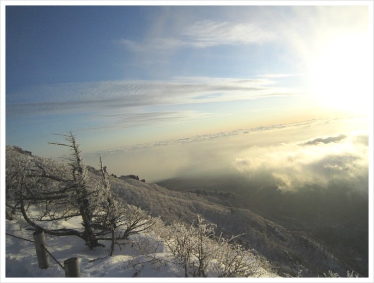 한라산 눈꽃 산행 (13) 영실기암을 품은 황금빛 노을 한라산 눈꽃 산행 (13) 영실기암을 품은 황금빛 노을