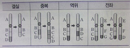 염색체이상과 유전자이상에 의한 질병 알아보기. : 네이버 블로그