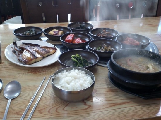 제주도에서 살아남기 제주도에서 살아남기