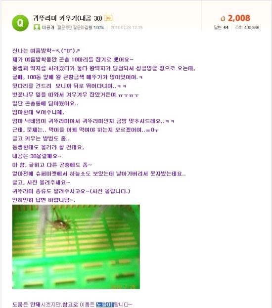 눈드랍 캐릭터분석 #33 - 번식킹 '곱등이'