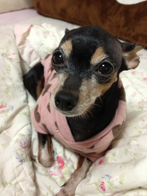  오랫만이예요