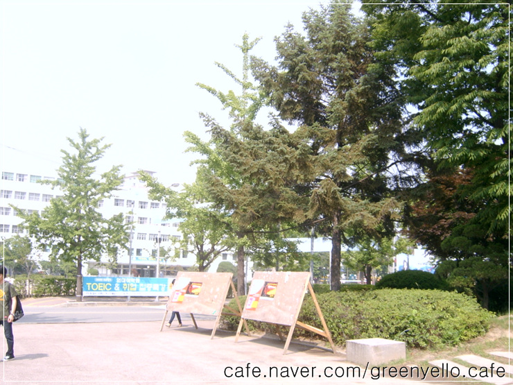  한국외대에서 새들과 감 (카페 업로드)