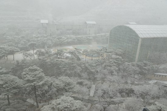  3월말의 폭설.. 곤지암 리조트