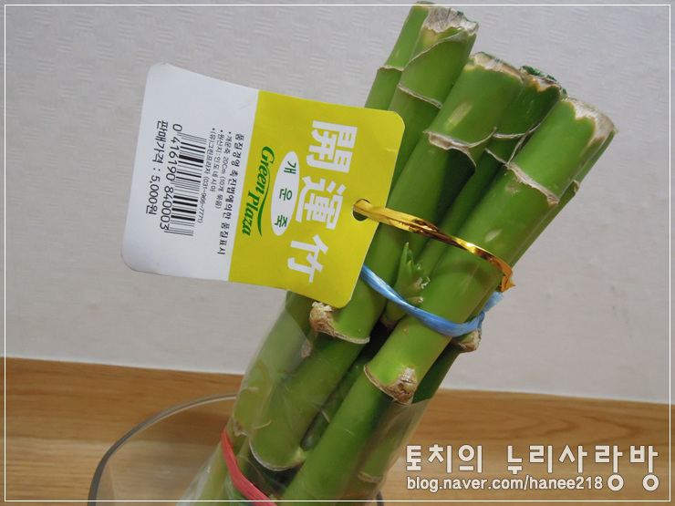  개운죽 까까를 소개해요! ㅋㅋ