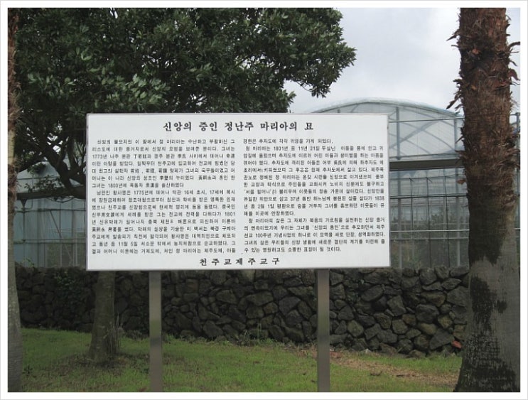 제주올레 11코스 - (4) 정난주 마리아 성지에서 신평사거리까지 제주올레 11코스 - (4) 정난주 마리아 성지에서 신평사거리까지