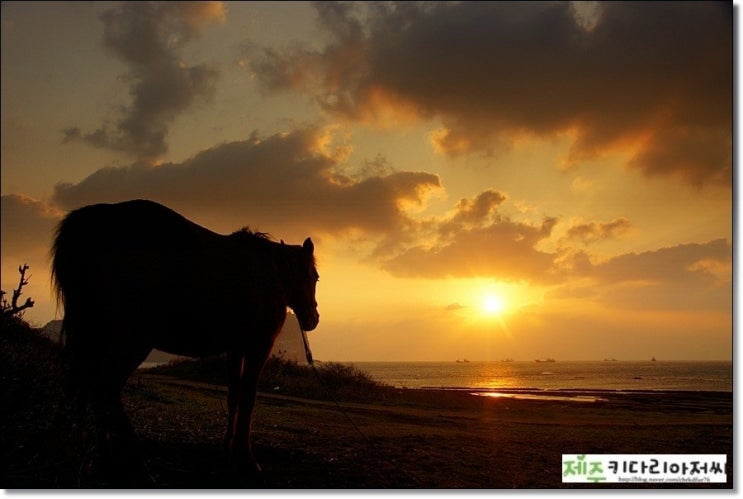  제주 성산일출봉 일출 해뜨는시간