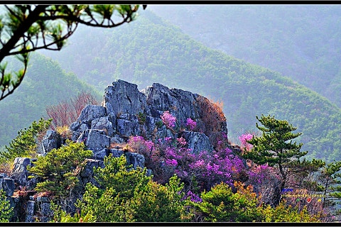 산골산내음 이미지