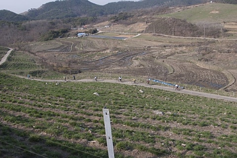 운산주유소 이미지