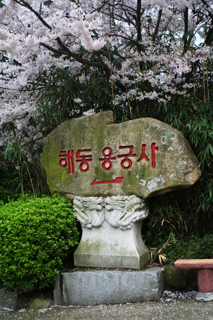 2012-04-11 부산 해동용궁사 
