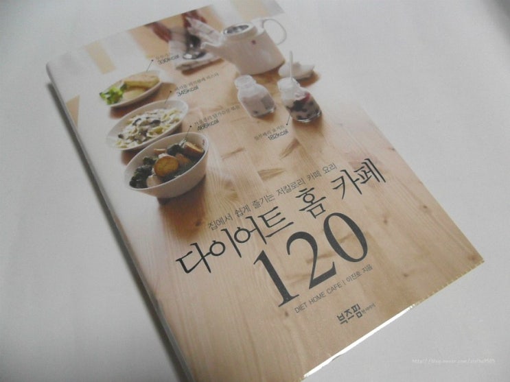 집에서 쉽게 즐기는 저칼로리 카페요리 [부즈펌/다이어트 홈 카페 120]