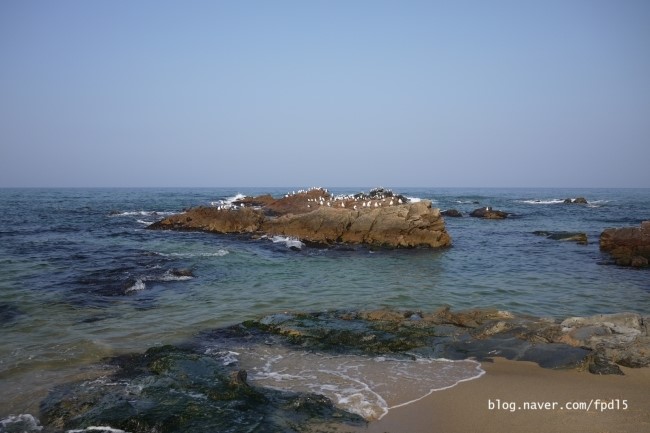 @2012.03.17 정동진.바다