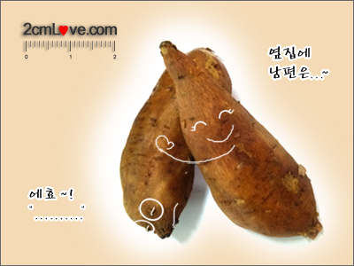 남편이 들으면 바람을 생각한다. 남편이 들으면 바람을 생각한다.