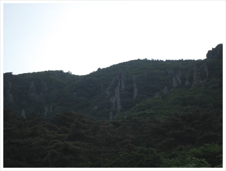 한라산 초록 산행 (1) 영실코스의 시작, 초록나라 영실소나무 숲 한라산 초록 산행 (1) 영실코스의 시작, 초록나라 영실소나무 숲