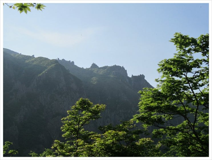 한라산 초록 산행 (2) 하늘과 맞닿은 영실기암