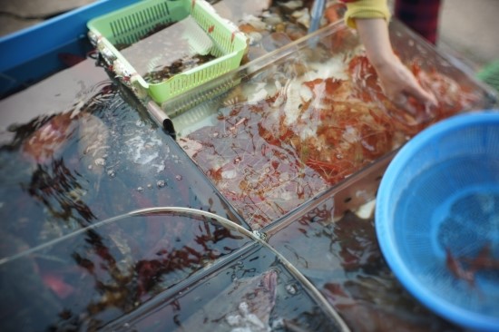 [여름휴가] 속초-쏠비치-양양 가족펜션 가족과 떠나는 즐거운 여행