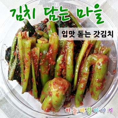  김치담는마을의 알싸한 갓김치 