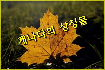  캐나다의 상징