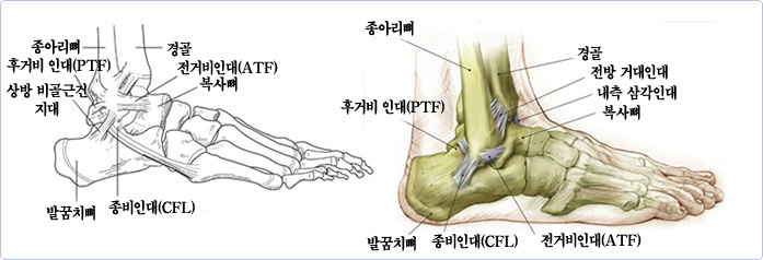 MG패밀리통합보험 및 양대질병보험 가격을 살펴보시고 골절진단비 보장내용을 확인하시기 바랍니다. 6