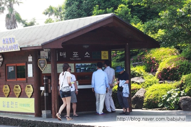  제주도여행 일출랜드