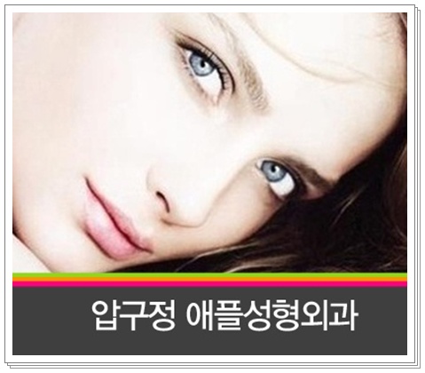  자연스러운 네츄럴 코성형, 고양이수술 [애플성형외과]