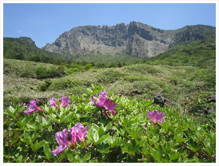 한라산 초록 산행 (6) 은하수를 바라보는 땅, 한라산 백록담 한라산 초록 산행 (6) 은하수를 바라보는 땅, 한라산 백록담