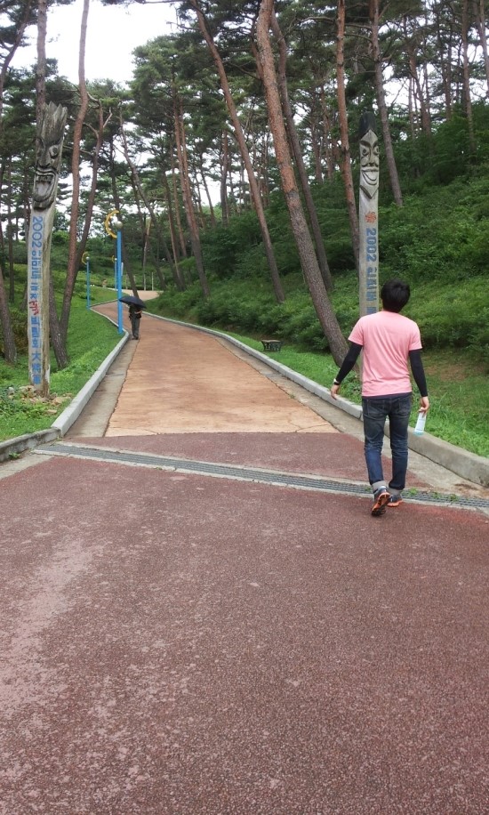 [  안면도  ] 안면도 자연휴양림 