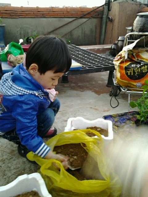  모종심기