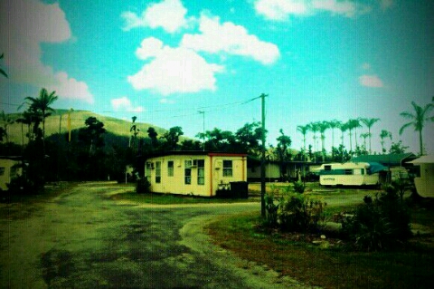 호주워킹홀리데이 4. real banana farm in Tully 호주워킹홀리데이 4. real banana farm in Tully