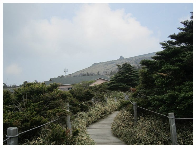 한라산 초록 산행 (8) 선작지왓에서 만난 모노레일 한라산 초록 산행 (8) 선작지왓에서 만난 모노레일