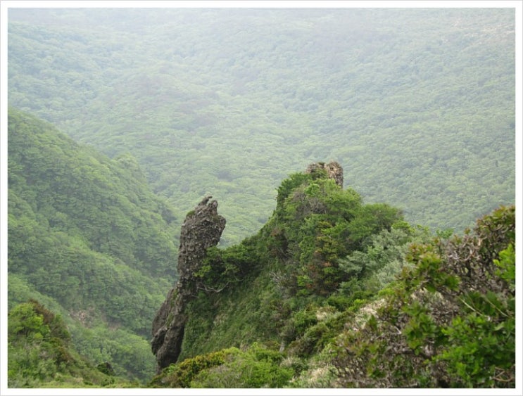 한라산 초록 산행 (10) 신록의 영실기암 그리고 한라산 까마귀