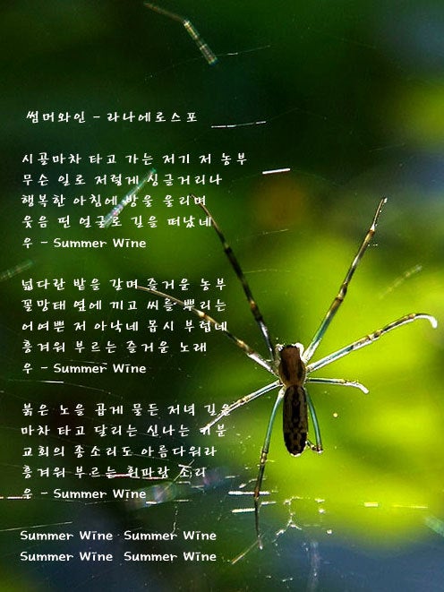 라나에로스포(Lana Et Rospo:두꺼비와 개구리), 노래모음 : 네이버 블로그 라나에로스포(Lana Et Rospo:두꺼비와 개구리), 노래모음 : 네이버 블로그