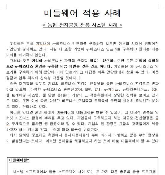  [레포트] 경영 인터넷 비즈니스 / 미들웨어 적용사례 / 농협 