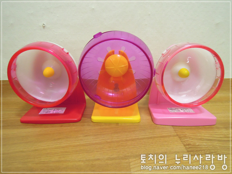  [햄스터] 깜뜨에게 산코 쳇바퀴 선물~